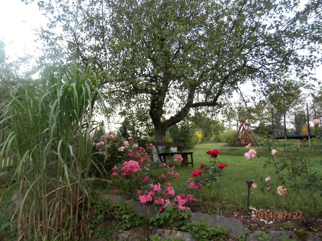 Zagroda Agroturystyczna Wiecha Mieroszow 外观 照片