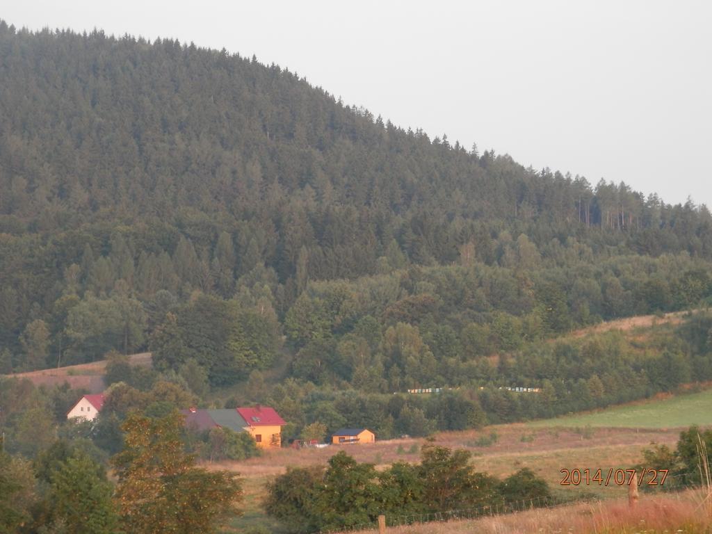 Zagroda Agroturystyczna Wiecha Mieroszow 外观 照片